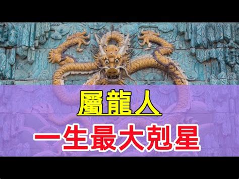 屬龍 名人|十二生肖屬龍的名人有那些